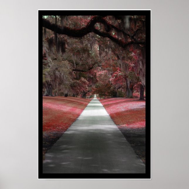 Impressão de caminho (Frente)