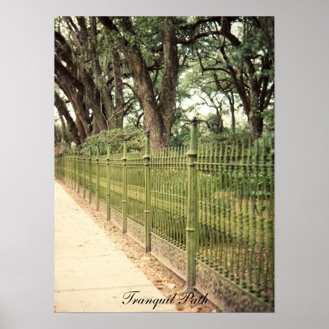 Impressão de Caminho Tranquilo (Frente)