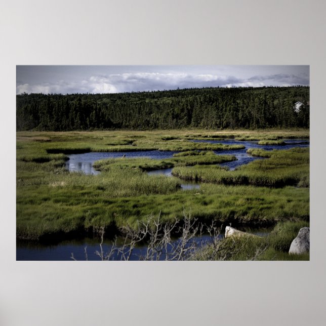 Impressão de campos e Streams de arte fina (Frente)