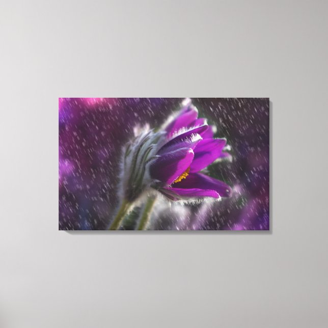 Impressão de canvas de arte - Chás Primavera (Frente)