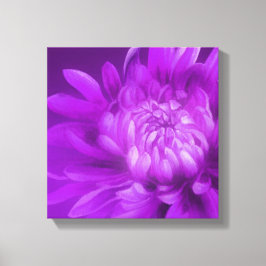 Impressão de canvas de crisântemo floral roxo