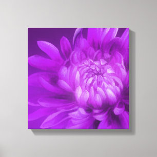 Impressão de canvas de crisântemo floral roxo