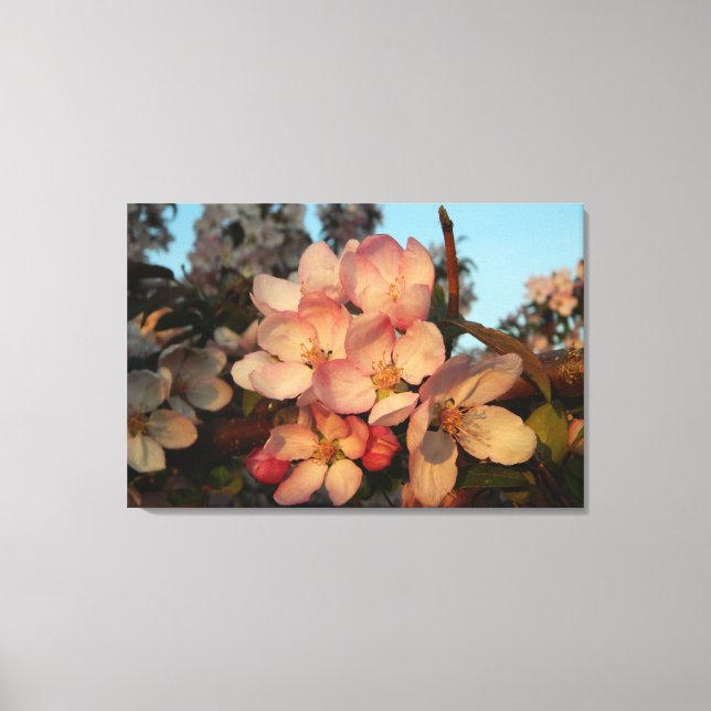 Impressão de Canvas de de Blossomas de Maçã Rosa S (Frente)