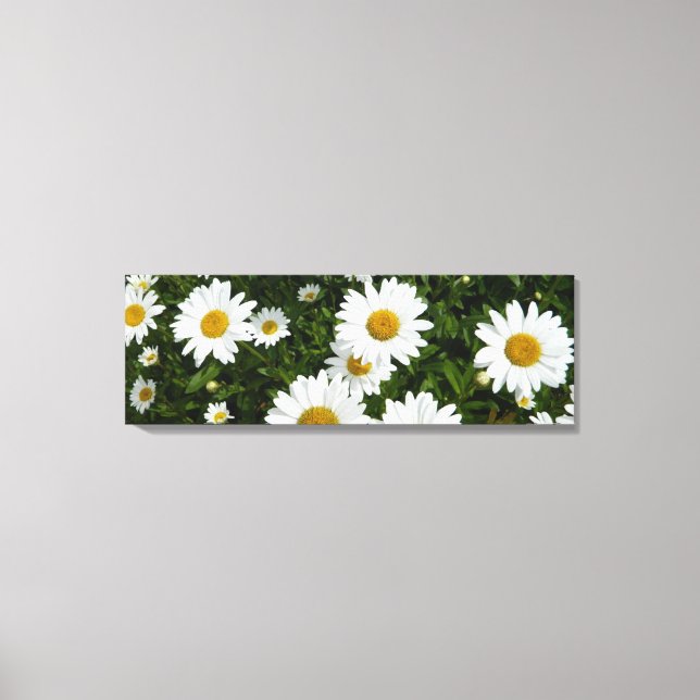 Impressão de Canvas de  de campo de margarida (Frente)