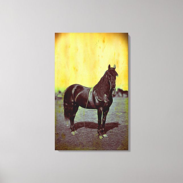 Impressão de Canvas de  de Cavalos da União da Gue (Frente)