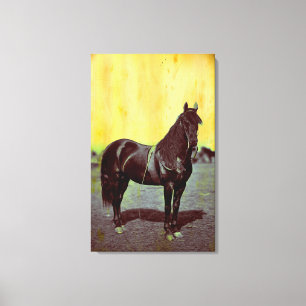 Impressão de Canvas de  de Cavalos da União da Gue
