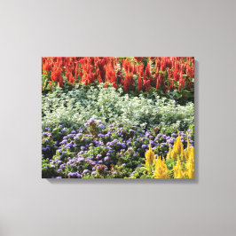 Impressão de Canvas de Fotografia de Plantas Color