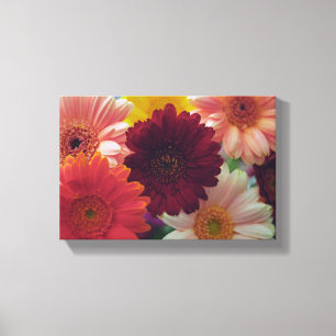 Impressão de Canvas de Fotografias da Gerbera Dai