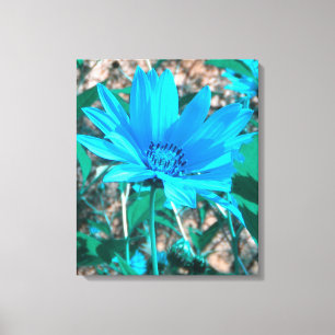 Impressão de Canvas de girassol azul selvagem