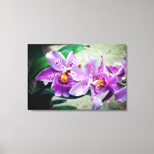 Impressão de Canvas de Orquídeas Roxas