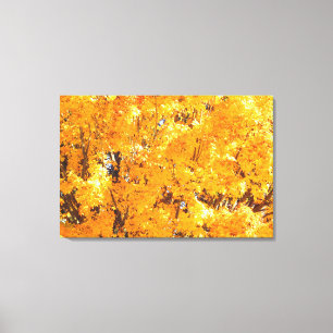 Impressão de Canvas de outono de ouro
