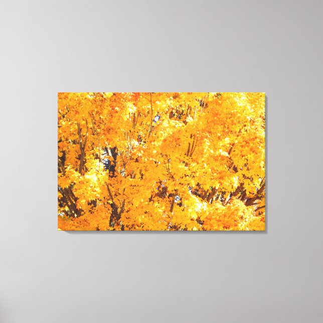 Impressão de Canvas de outono de ouro (Frente)