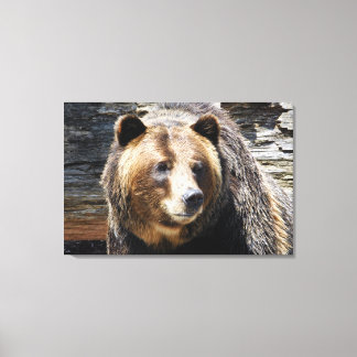 Impressão de Canvas de perfil do urso grizzly