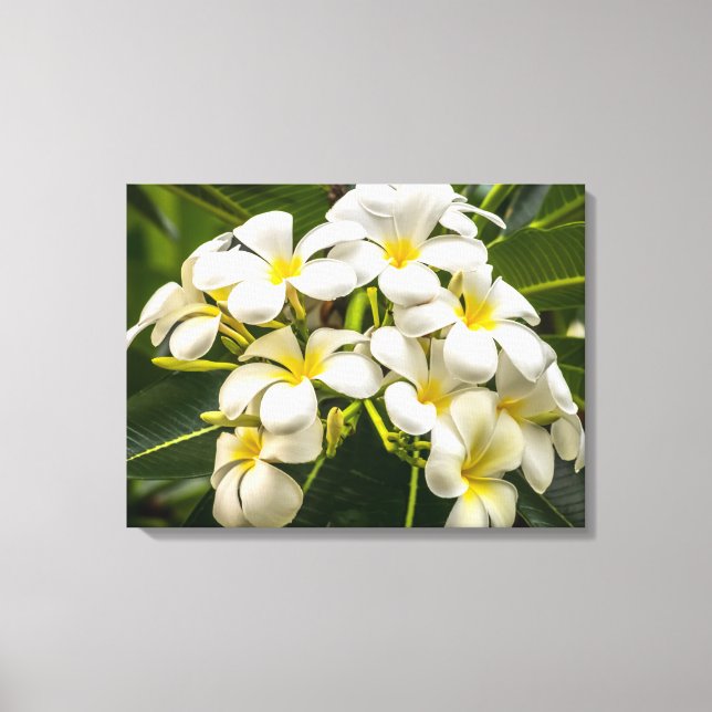 Impressão de Canvas de Plumeria Exótica (Frente)