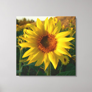 Impressão de Canvas de Sensação de Girassol