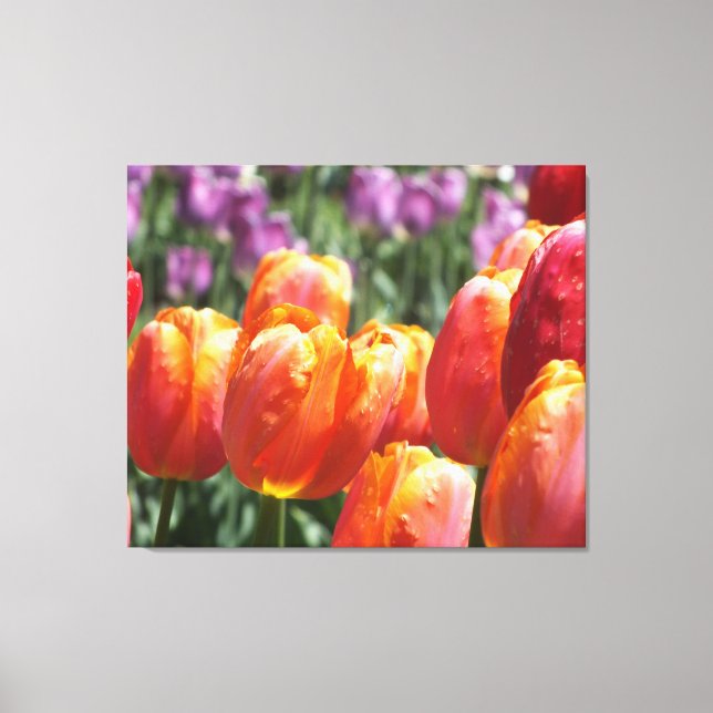 Impressão de Canvas de Tulipas Laranja (Frente)