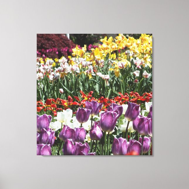Impressão de Canvas do Jardim Tulip (Frente)