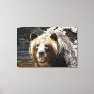 Impressão de Canvas do urso Grizzly