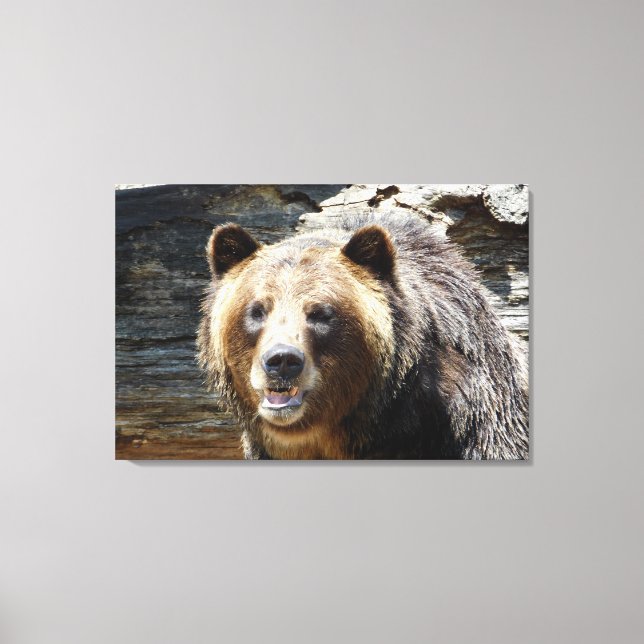 Impressão de Canvas do urso Grizzly (Frente)