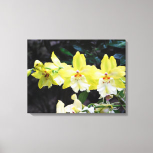 Impressão de Canvas Orchid Trio