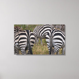 Impressão de Canvas Zebra