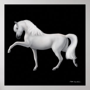 Impressão de Cavalo Andaluz Branco