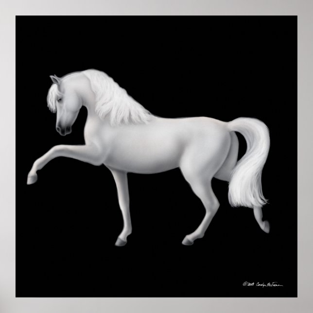 Impressão de Cavalo Andaluz Branco (Frente)