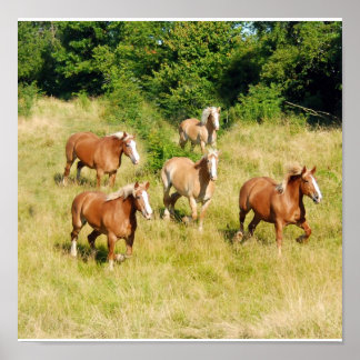 Impressão de Cavalos de Arranque Antigo