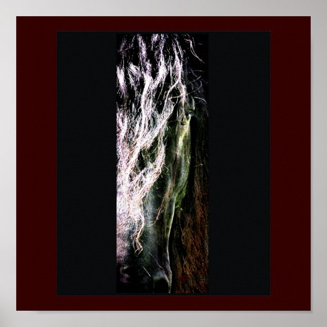 Impressão de cavalos místicos (Frente)