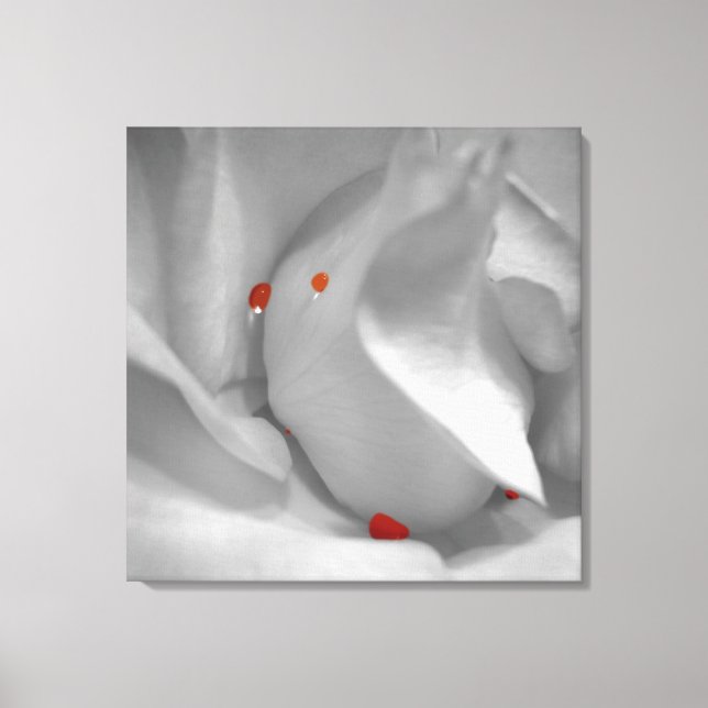 Impressão de Clona Aquarela Aeoliana (Frente)