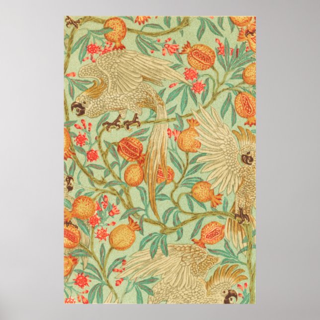 Impressão de Cockatoo e Pomegranato (Frente)