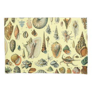 Impressão de Conchas Vintage Adolphe Millot Costei