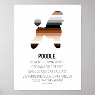 Impressão de cores da caniche por HUXSHOP