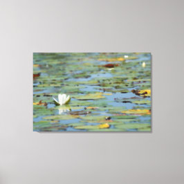 Impressão de Cores d'água do Lago Waterlily