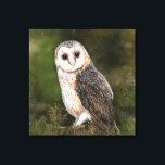 Impressão de Coruja de Barn Ocidental - Pintura<br><div class="desc">Western Barn Owl - Pintura MIGNED</div>