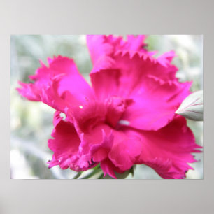 Impressão de Cravagem Rosa