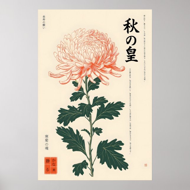Impressão de Crisântemo Japonês em Estilo Ukiyo-e  (Frente)