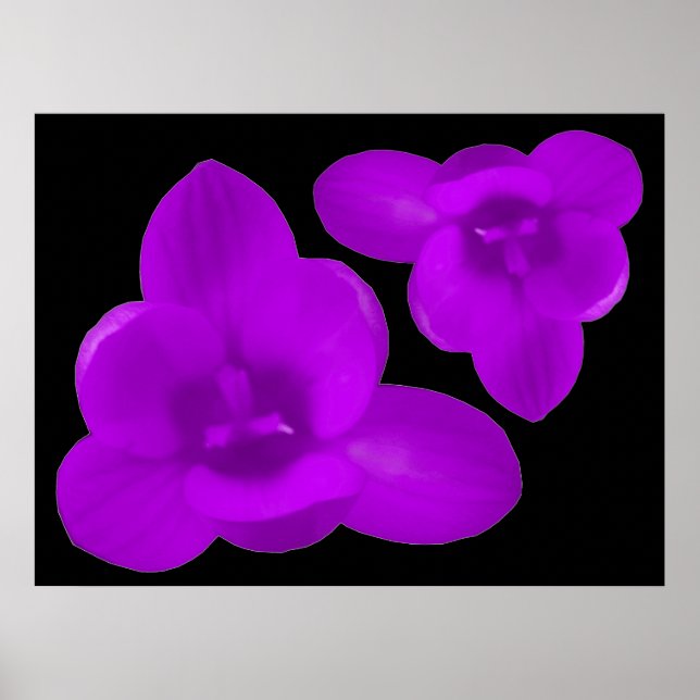Impressão de Crocus Puro (Frente)