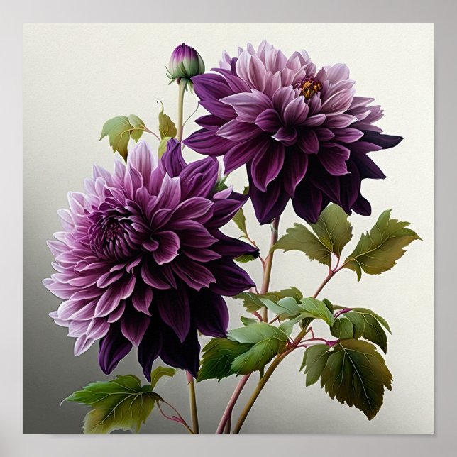 Impressão de Dahlias Roxo (Frente)