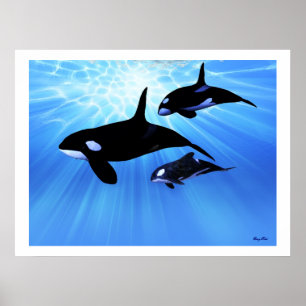 IMPRESSÃO de ECHO CLARO