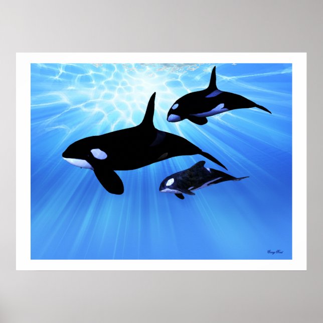 IMPRESSÃO de ECHO CLARO (Frente)