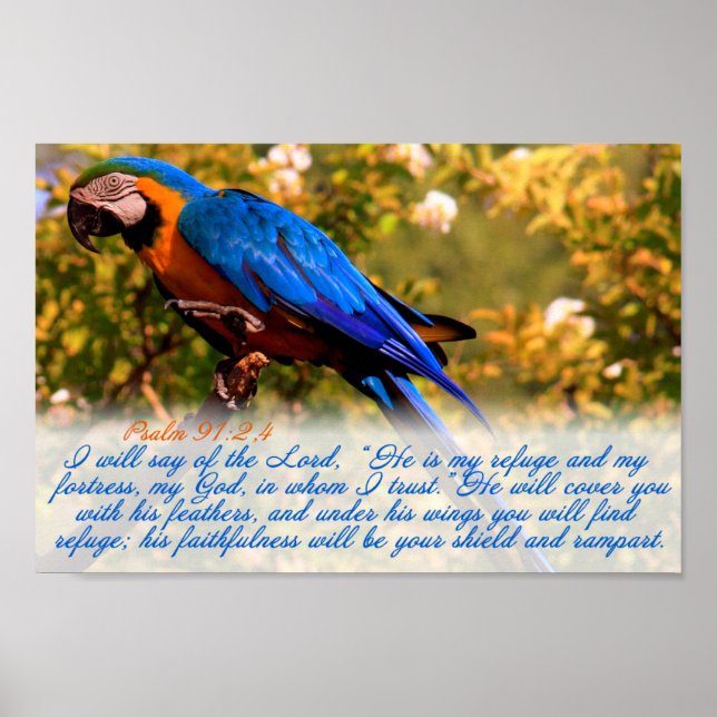 Impressão de Escritura: Salm 91:2,4 com Blue Macaw (Frente)