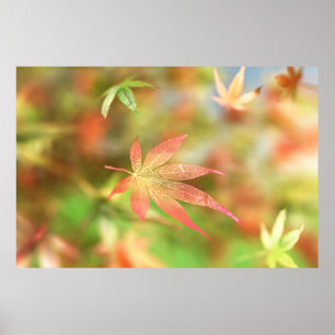 Impressão de Fall Filigree