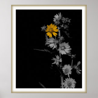 Impressão de Flor de Banda