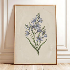 Impressão de Flor de Camassia Vintage Decoração de