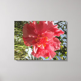 Impressão de Flor Hibiscus @3dudes1life