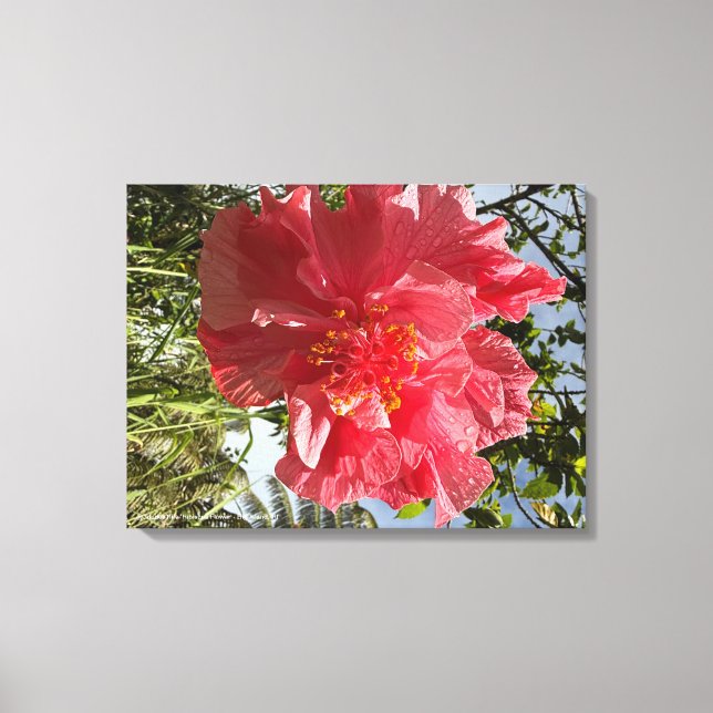 Impressão de Flor Hibiscus @3dudes1life (Frente)