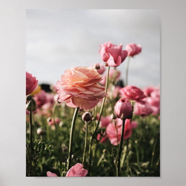 Impressão de Flor, Papel de Poster de Valor (Semi- (Frente)