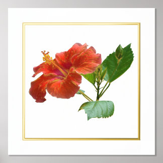 Impressão de Flor Red Hibiscus Accent Foil