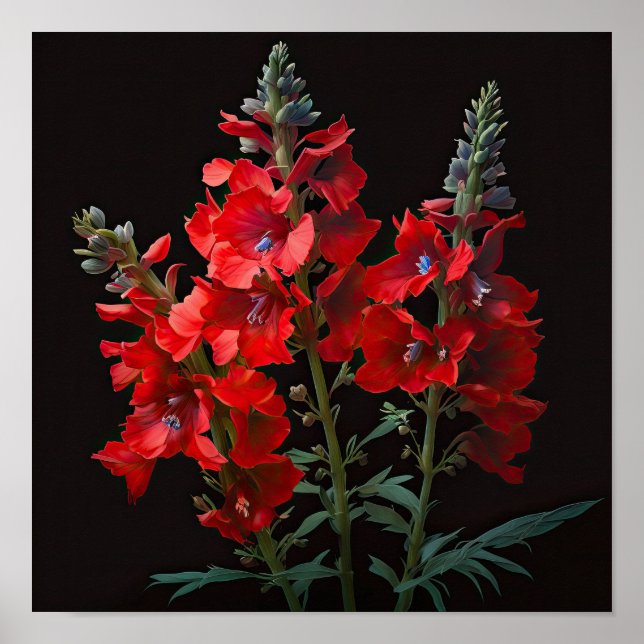 Impressão de Flor Vermelho Delphinium (Frente)